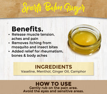 Load image into Gallery viewer, Sports Balm Ginger